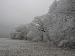 Winter Blues or Seasonal Affective Disorder?